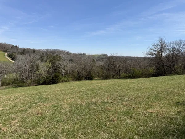 a view of an outdoor space and a yard