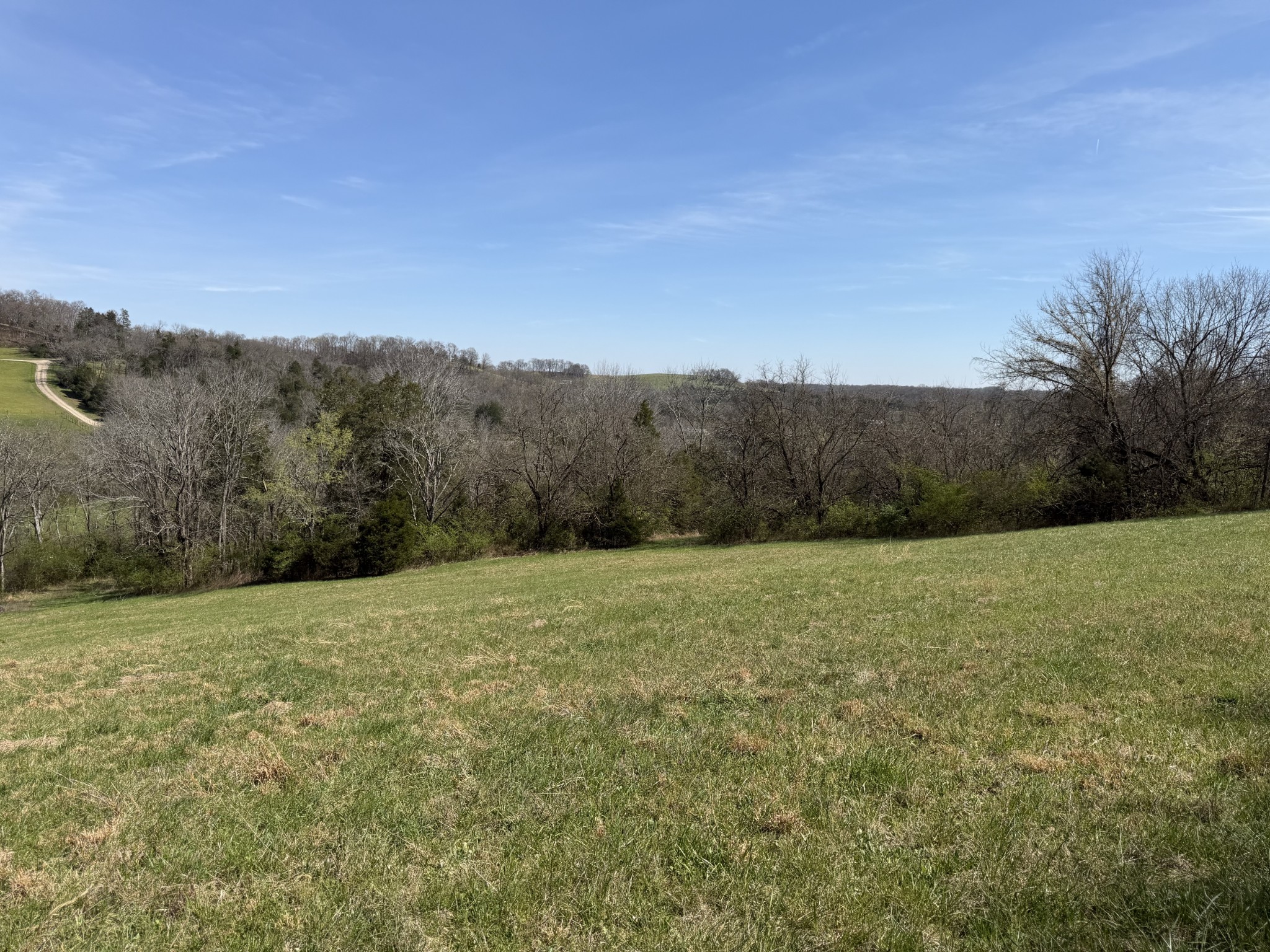 0 Fly Road Santa Fe, TN 38482 - Photo 10 of 30 a view of an outdoor space with mountain view