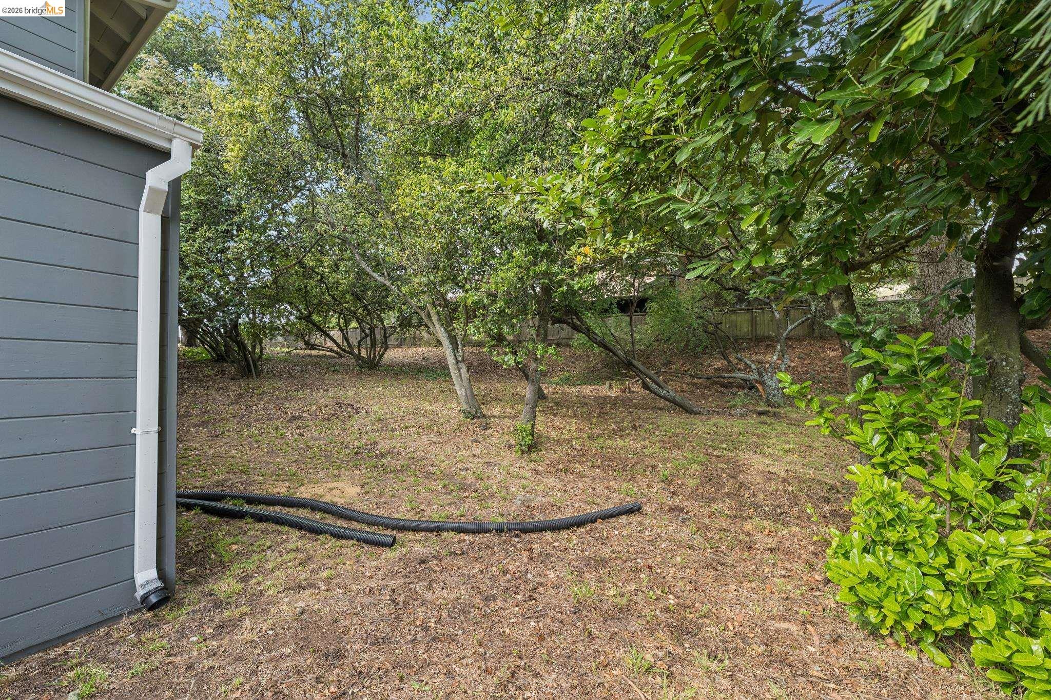 Summit Road Berkeley, CA 94708 - Photo 4 of 13