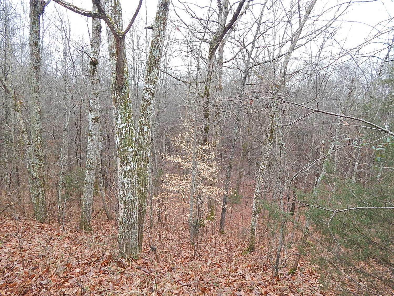 2085 Orear Road Jeffersonville, KY 40337 - Photo 25 of 44 Listing Photo