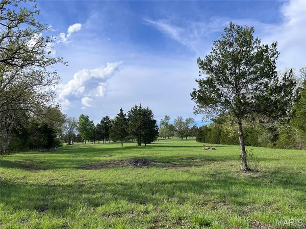 $15,000 | 0 Napoleon Drive, Bonne Terre, MO 63628