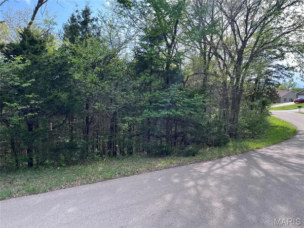 $15,000 | 0 Napoleon Drive, Bonne Terre, MO 63628