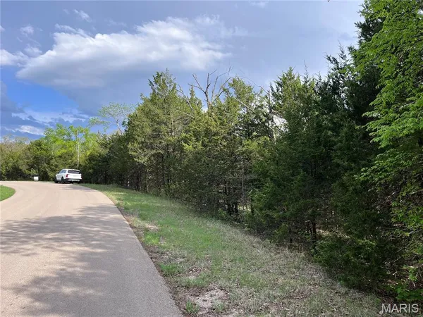 $15,000 | 0 Napoleon Drive, Bonne Terre, MO 63628