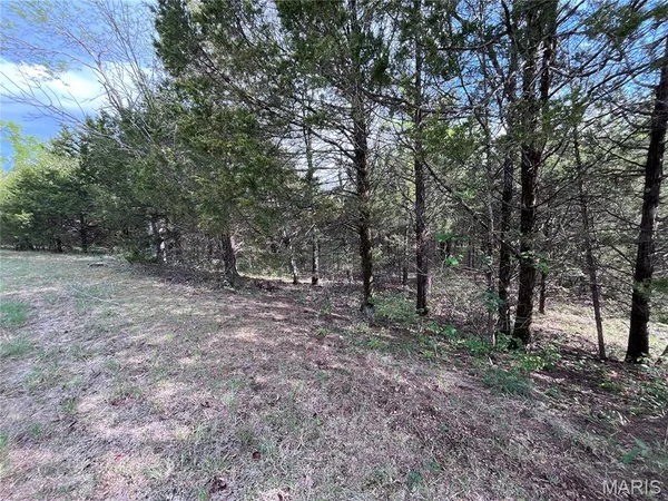 $15,000 | 0 Napoleon Drive, Bonne Terre, MO 63628