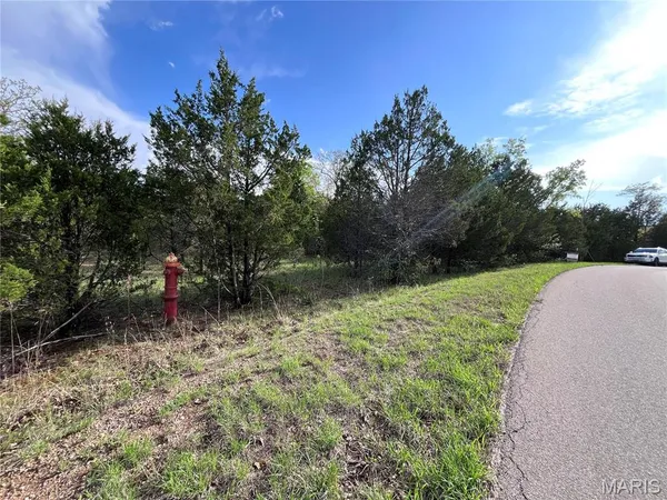 $15,000 | 0 Napoleon Drive, Bonne Terre, MO 63628