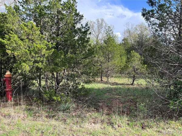 $15,000 | 0 Napoleon Drive, Bonne Terre, MO 63628