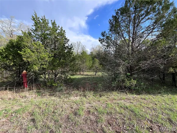 $15,000 | 0 Napoleon Drive, Bonne Terre, MO 63628