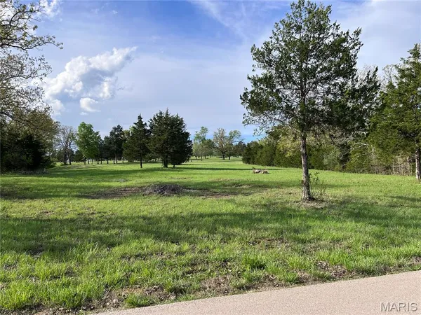 $15,000 | 0 Napoleon Drive, Bonne Terre, MO 63628
