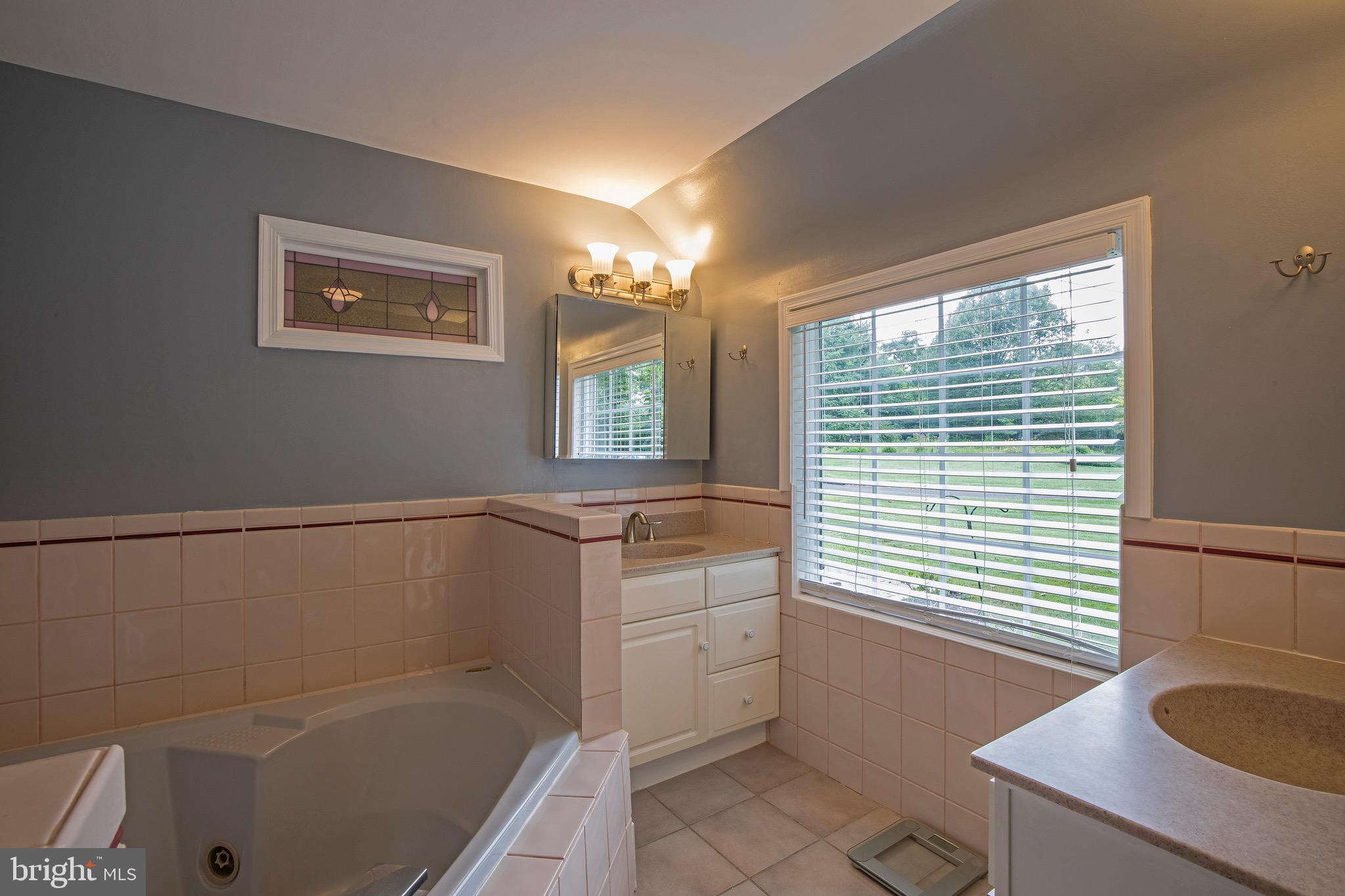 508 Washington Crossing Road Newtown, PA 18940 - Photo 24 of 39 Dual vanity garden tub