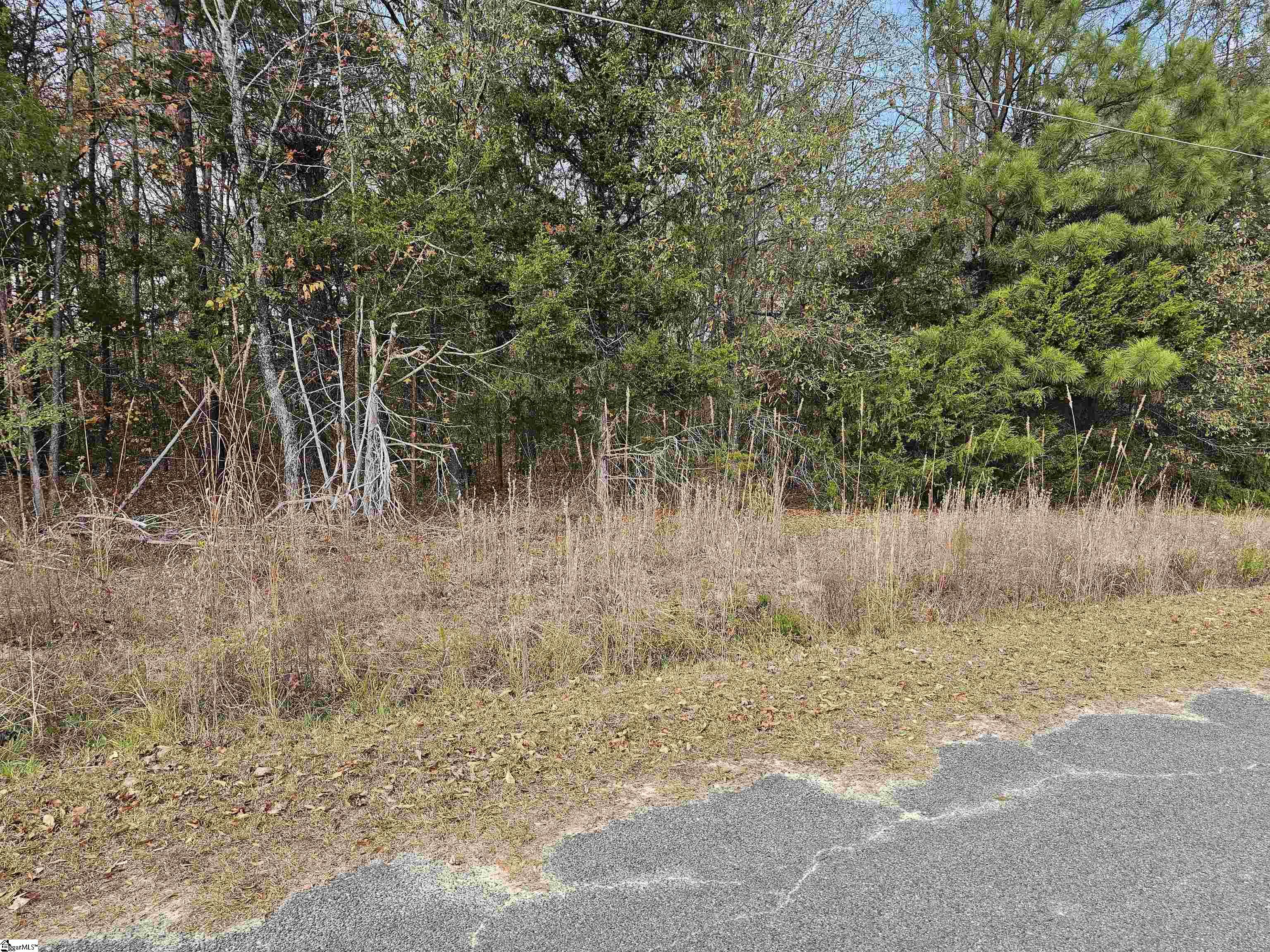 91 Rest Road Waterloo, SC 29384 - Photo 7 of 11