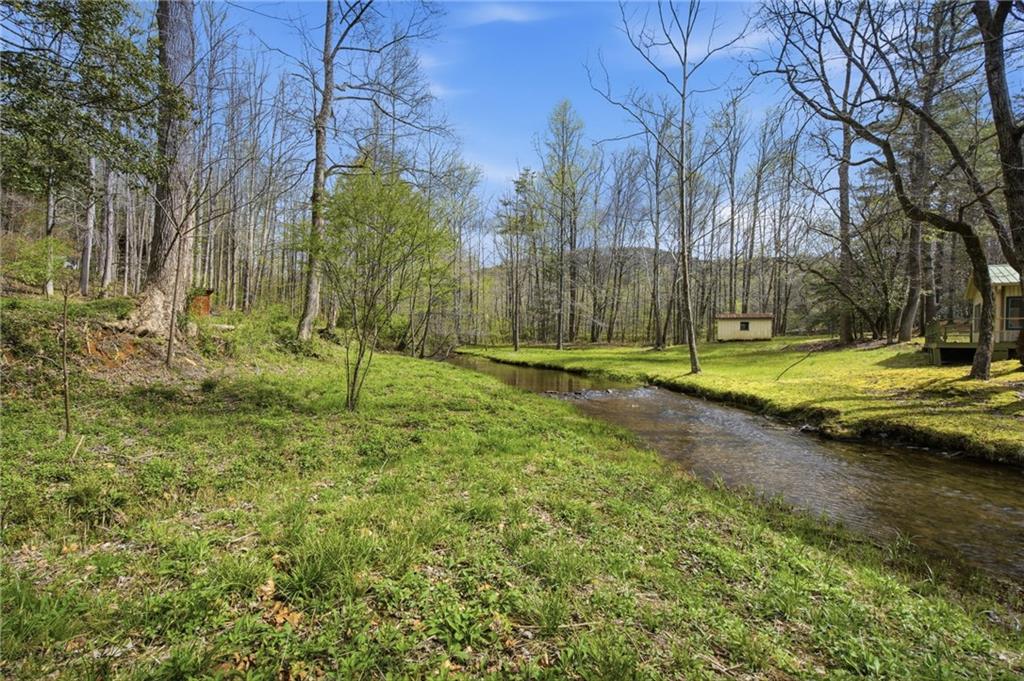 640 Edwards Parkway Cleveland, GA 30528 - Photo 6 of 58