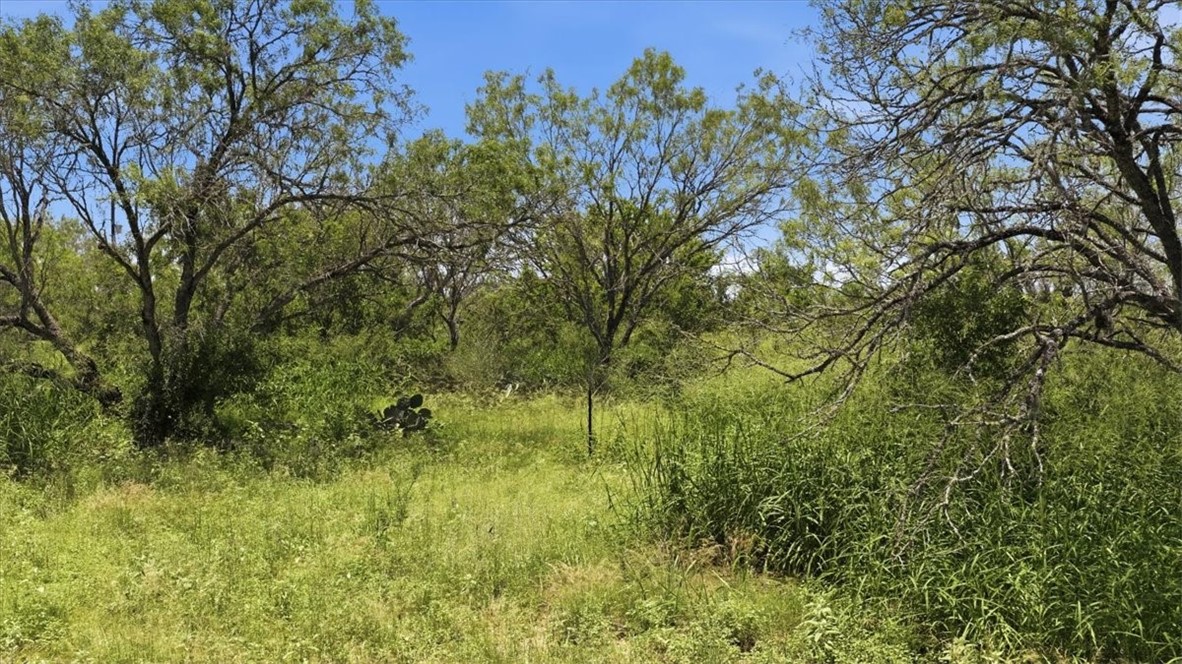140 Choke Canyon Three Rivers, TX 78071 - Photo 4 of 17