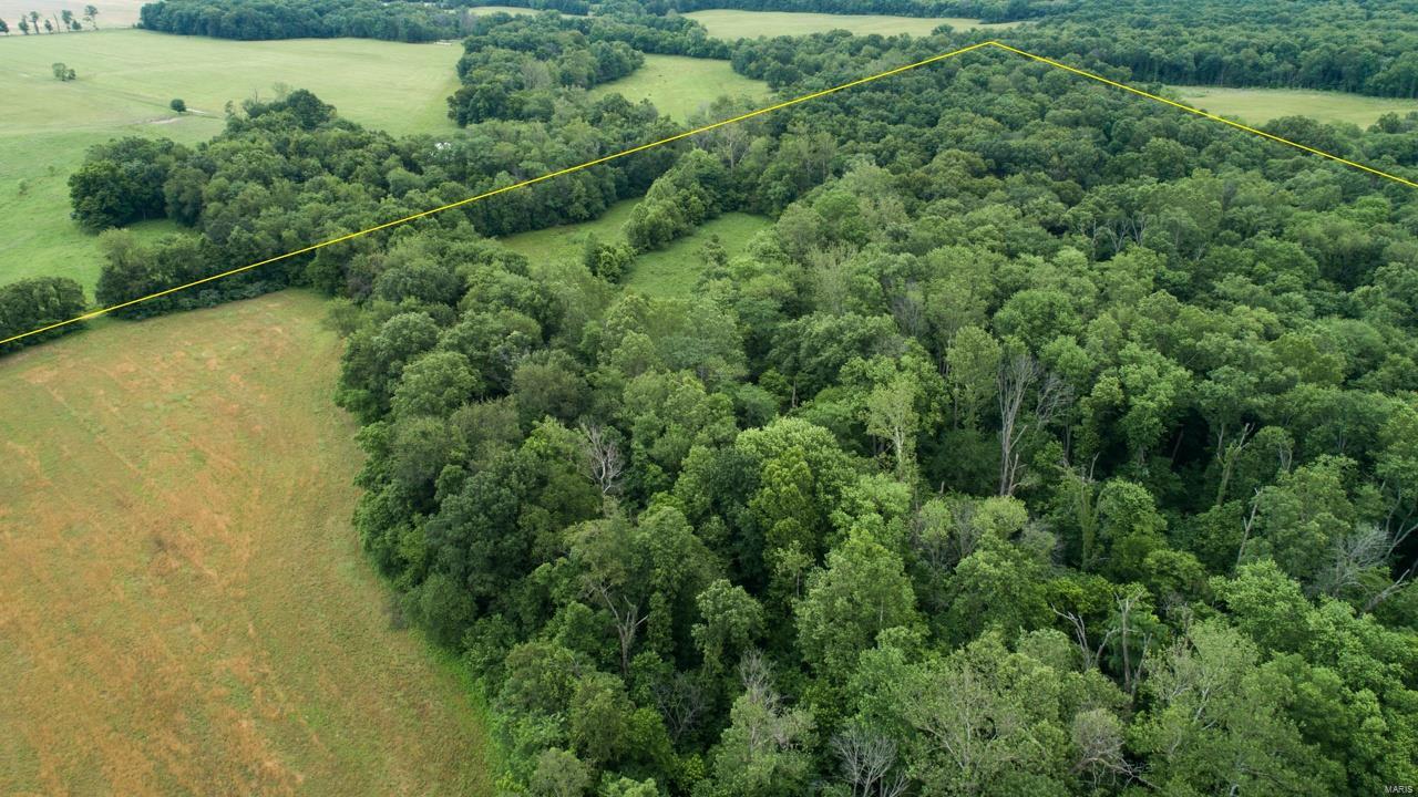 0 East Forge Road Ina, IL 62846 - Photo 1 of 28