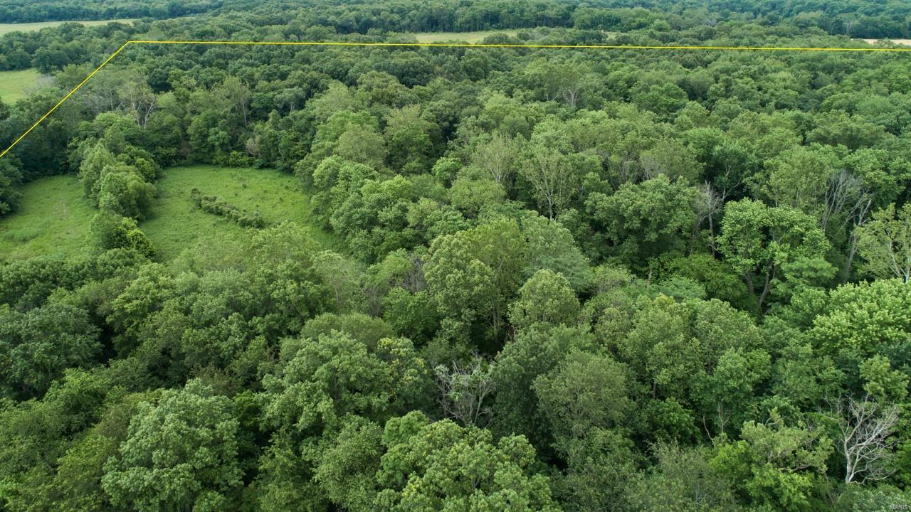 0 East Forge Road Ina, IL 62846 - Photo 11 of 28