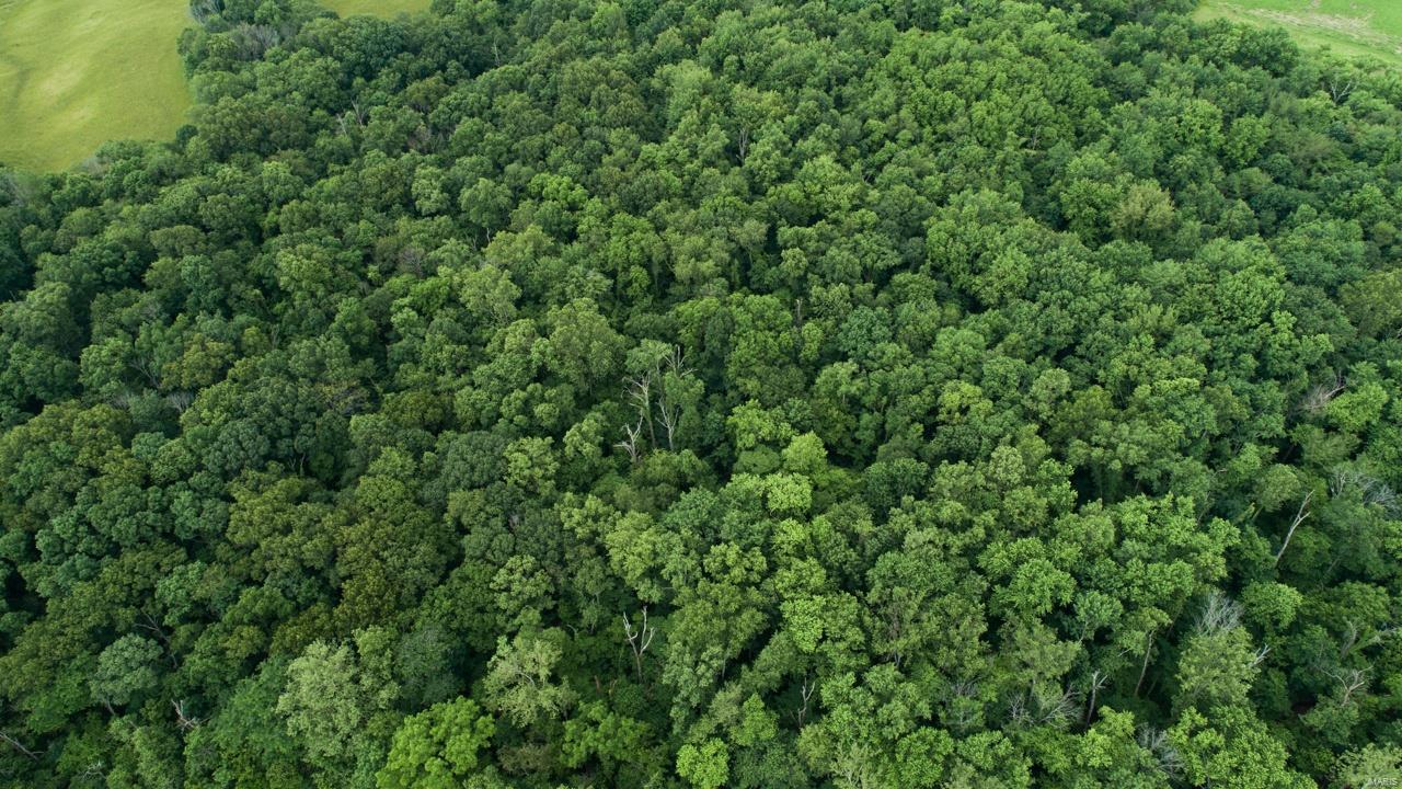 0 East Forge Road Ina, IL 62846 - Photo 13 of 28