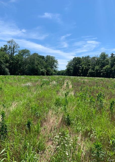 0 East Forge Road Ina, IL 62846 - Photo 14 of 28