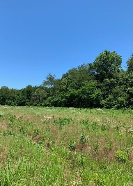 0 East Forge Road Ina, IL 62846 - Photo 15 of 28