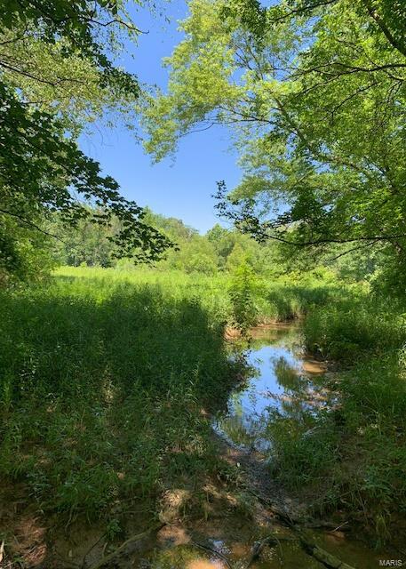 0 East Forge Road Ina, IL 62846 - Photo 20 of 28