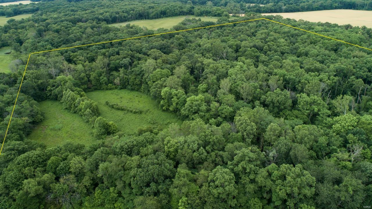0 East Forge Road Ina, IL 62846 - Photo 3 of 28