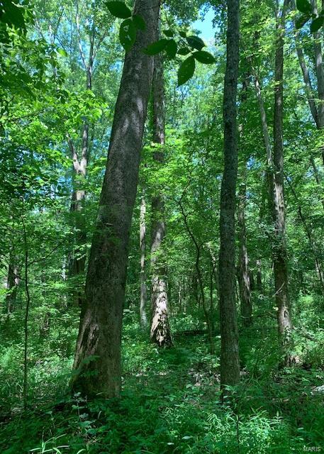 0 East Forge Road Ina, IL 62846 - Photo 23 of 28