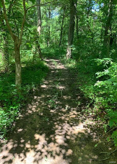 0 East Forge Road Ina, IL 62846 - Photo 25 of 28