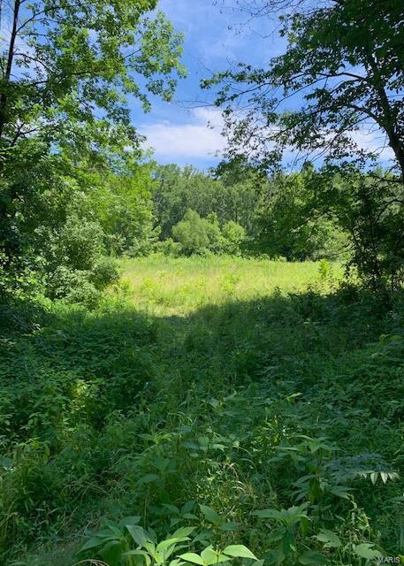 0 East Forge Road Ina, IL 62846 - Photo 26 of 28