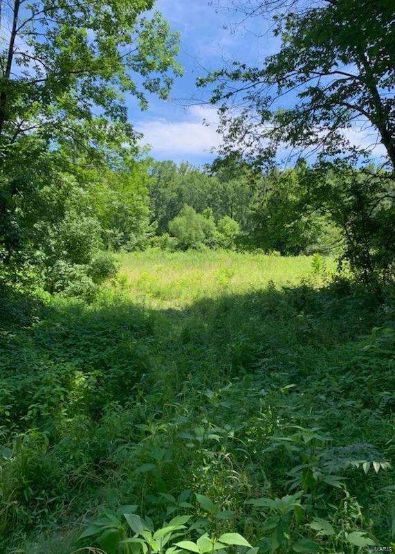 0 East Forge Road Ina, IL 62846 - Photo 27 of 28