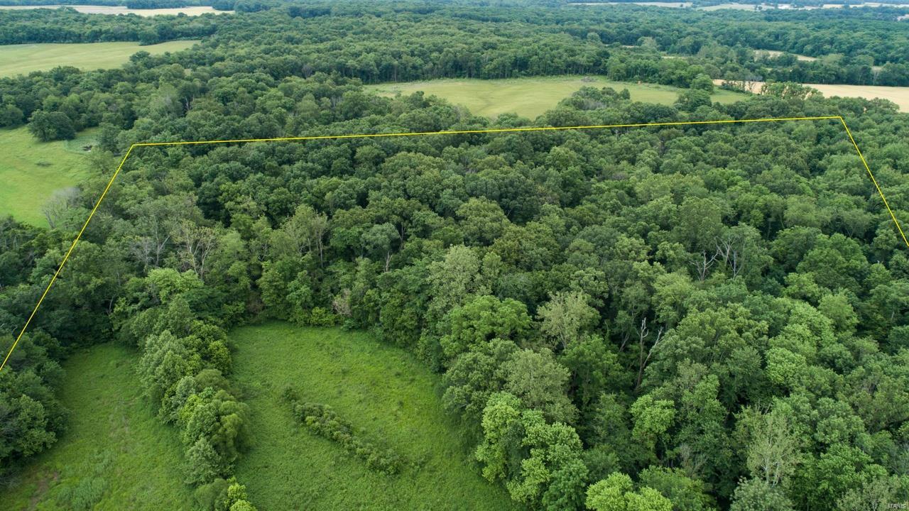 0 East Forge Road Ina, IL 62846 - Photo 5 of 28