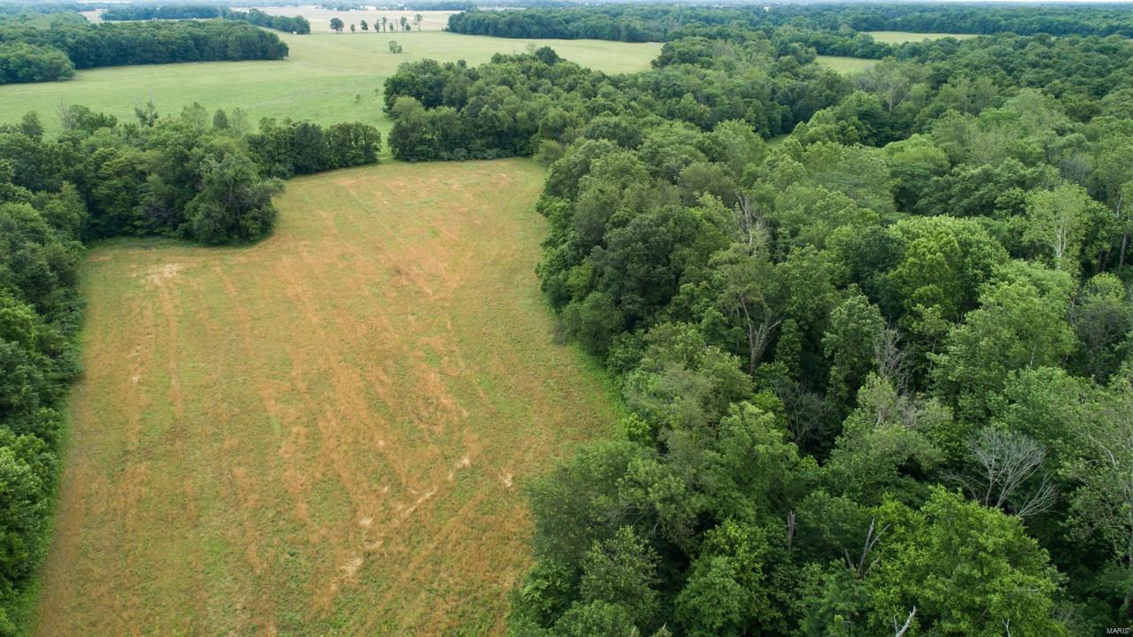0 East Forge Road Ina, IL 62846 - Photo 8 of 28