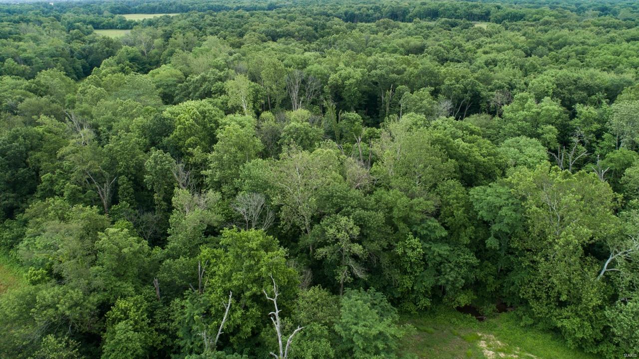 0 East Forge Road Ina, IL 62846 - Photo 9 of 28