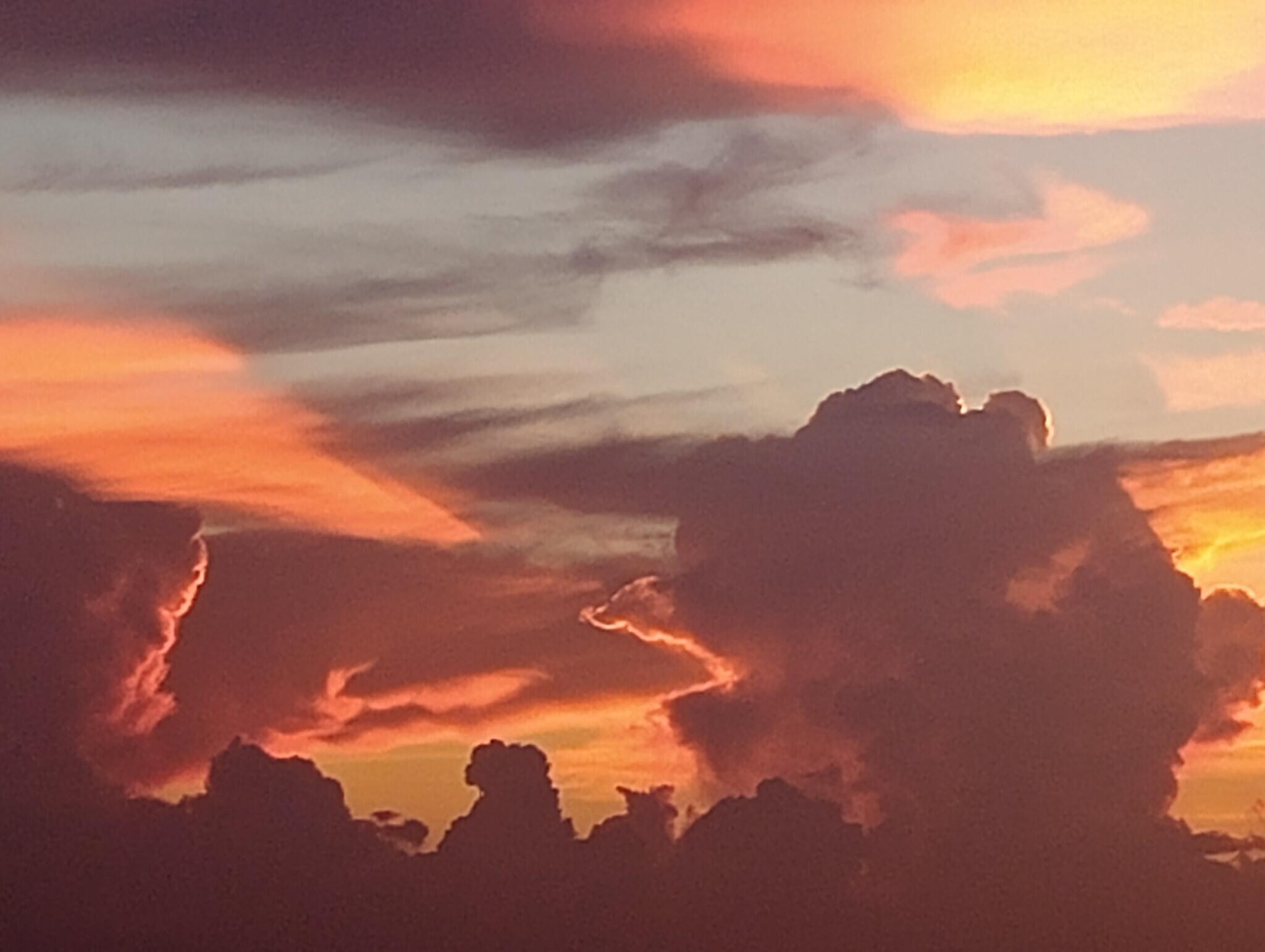 7738 Lakeside Boulevard, Unit 383 Boca Raton, FL 33434 - Photo 34 of 69 IMG_20240906_113354_01