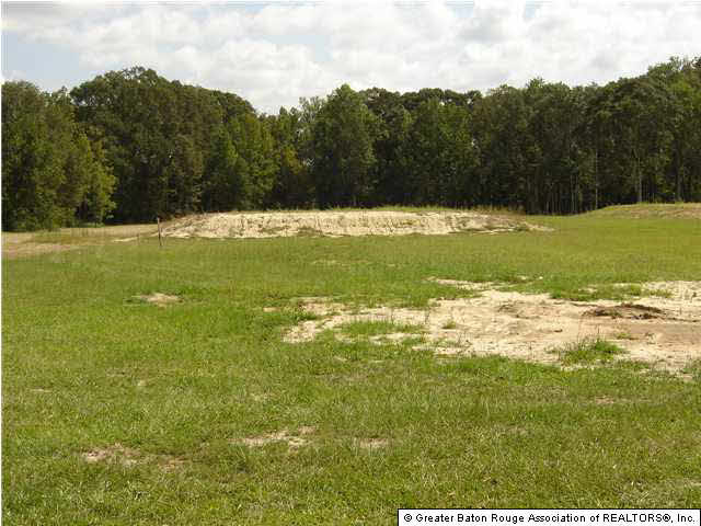 21660 West J Wicker Road Zachary, LA 70791 - Photo 2 of 2 Gallery Image 2