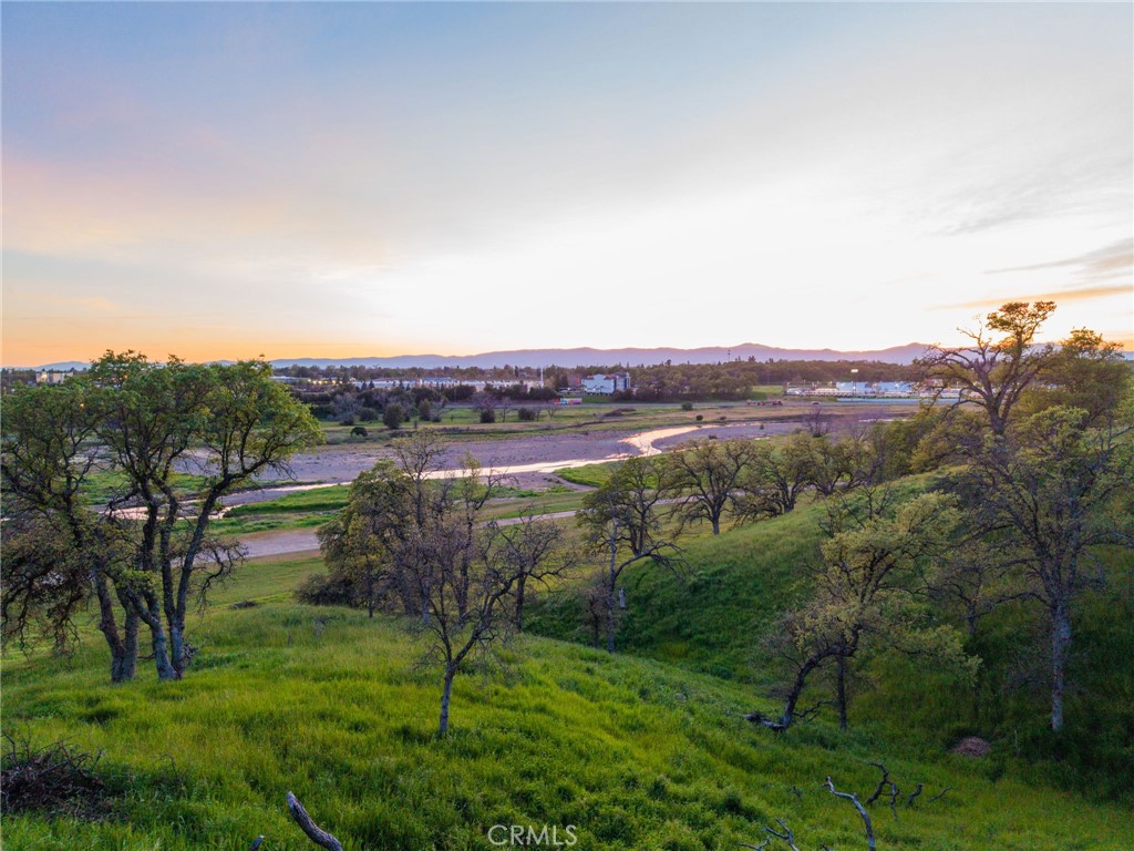 13925 Noble Way Red Bluff, CA 96080 - Photo 53 of 57 a view of a city with lush green forest
