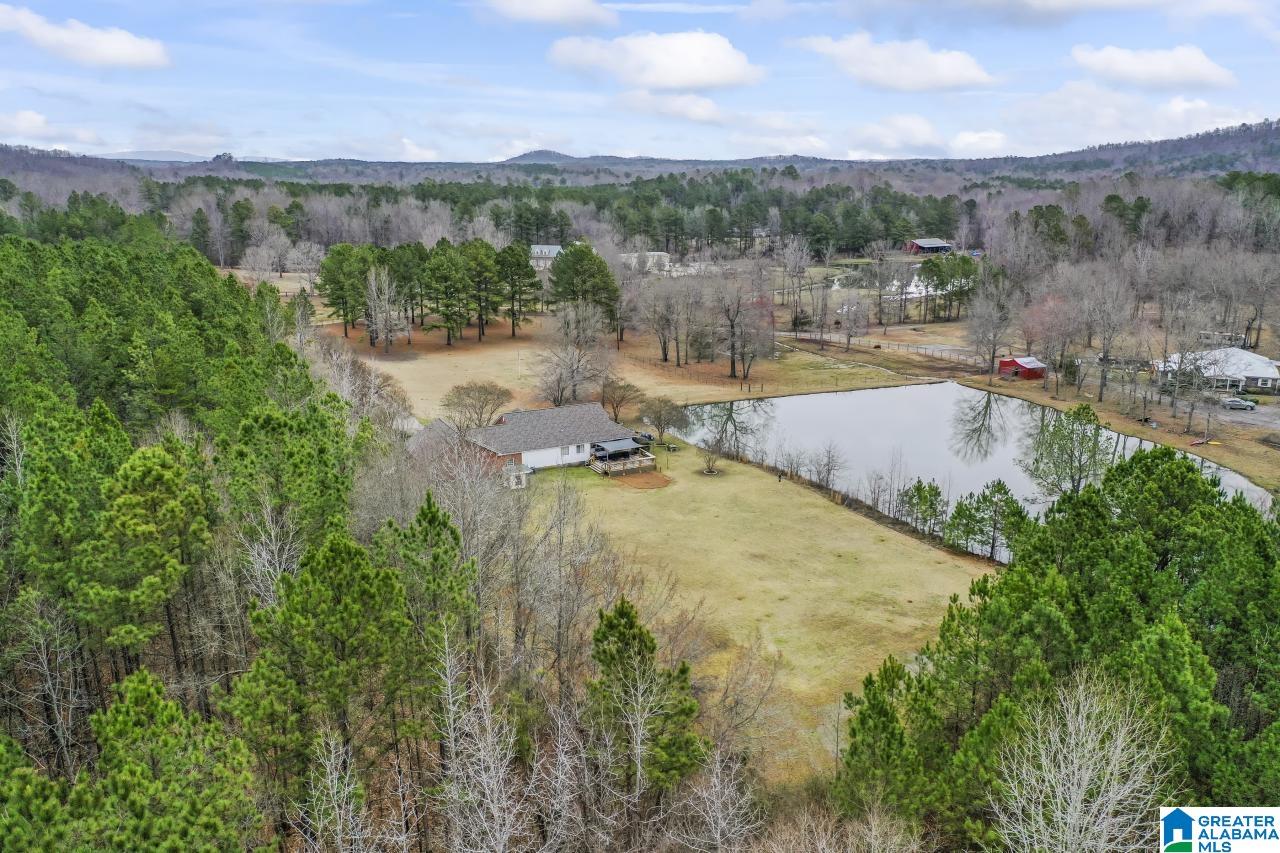 1726 Alston Farm Road Columbiana, AL 35051 - Photo 46 of 61