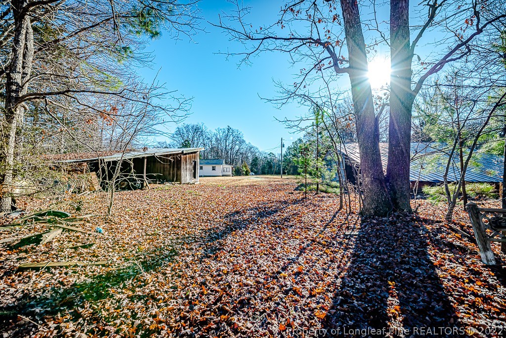670 Reno Sharpe Store Road Bear Creek, NC 27207 - Photo 24 of 28 Gallery Image 24