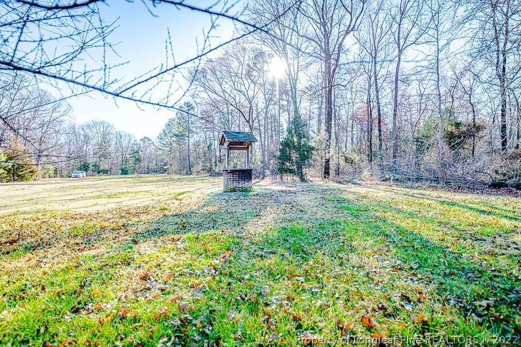670 Reno Sharpe Store Road Bear Creek, NC 27207 - Photo 25 of 28 Gallery Image 25
