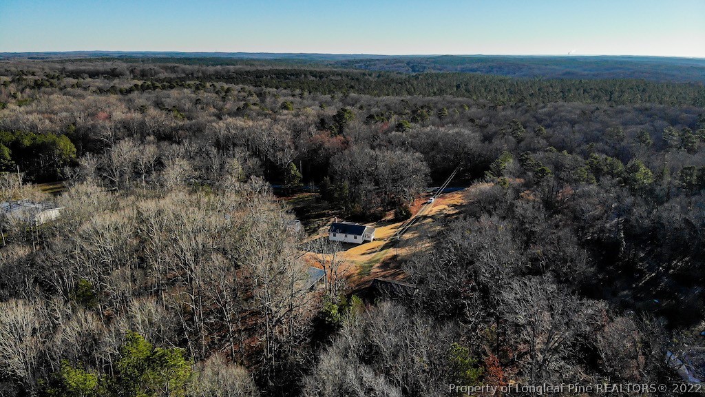 670 Reno Sharpe Store Road Bear Creek, NC 27207 - Photo 26 of 28 Gallery Image 26