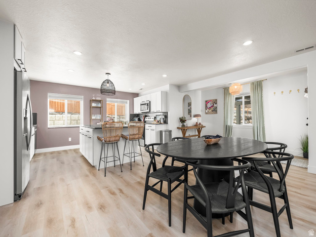 102 Elk Ridge Drive Elk Ridge, UT 84651 - Photo 29 of 61 Heavily upgraded basement apartment