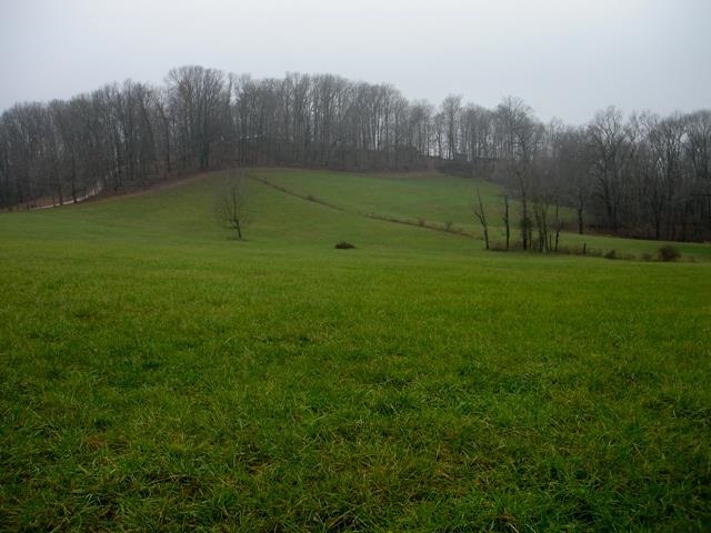 Ridge Road Shoals, IN 47581 - Photo 1 of 2 Gallery Image 1