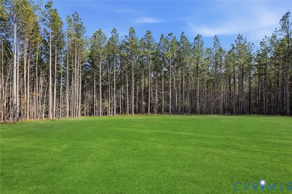 a view of a yard with an trees