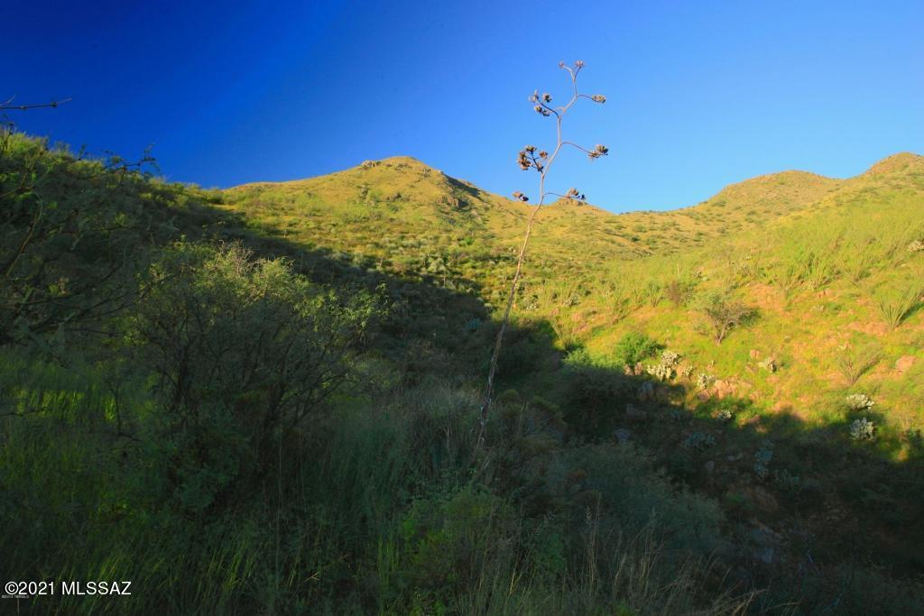 166 Ramada Trail, Unit 107 Rio Rico, AZ 85648 - Photo 11 of 22