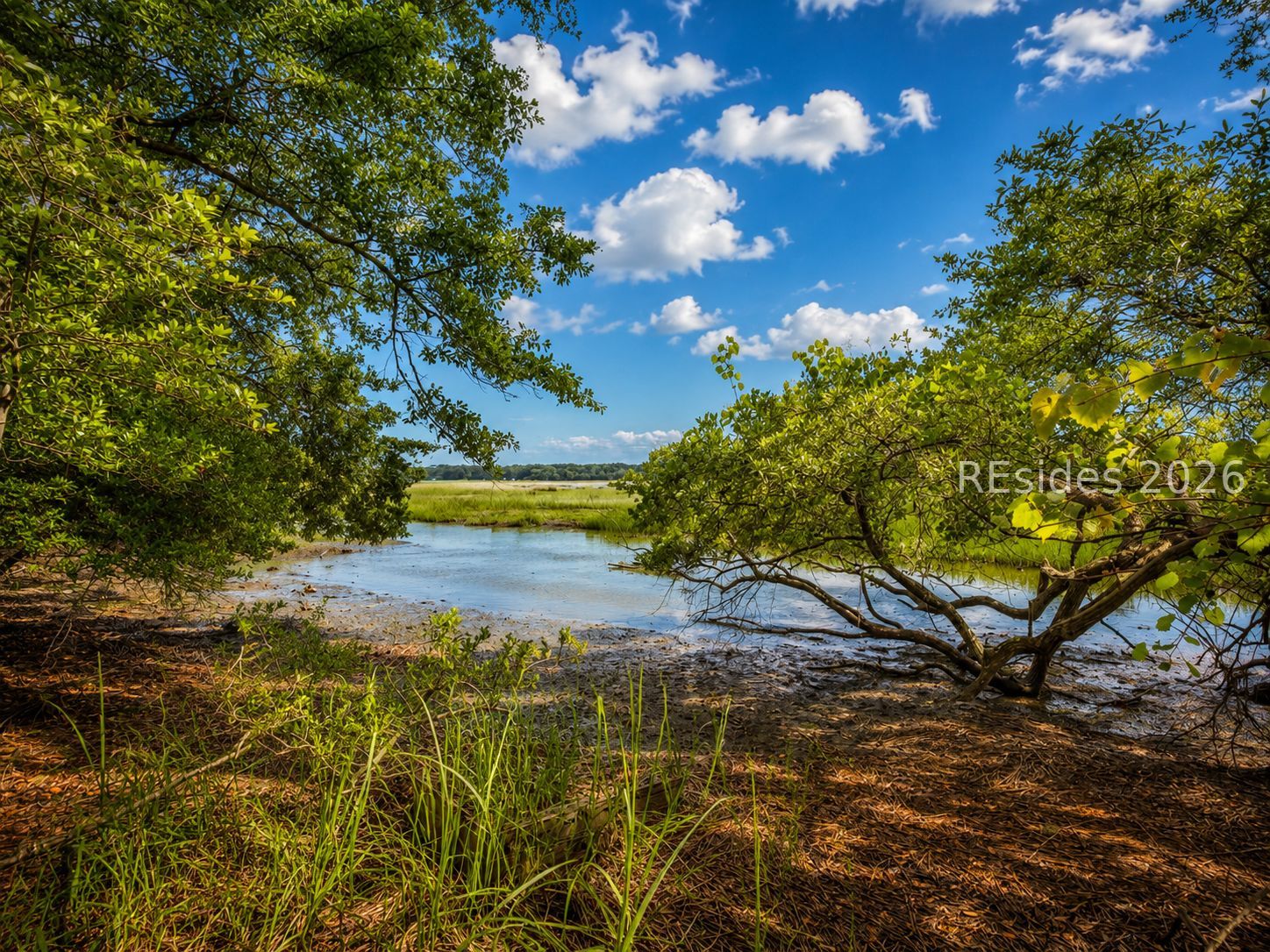 14 Palm Point Road Beaufort, SC 29907 - Photo 29 of 41