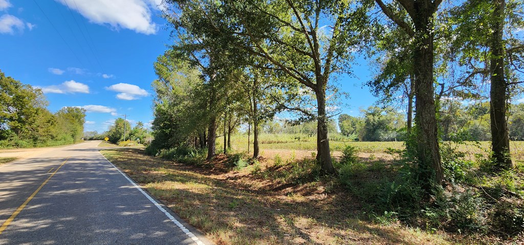 92 County Road 92 Slocomb, AL 36375 - Photo 7 of 32