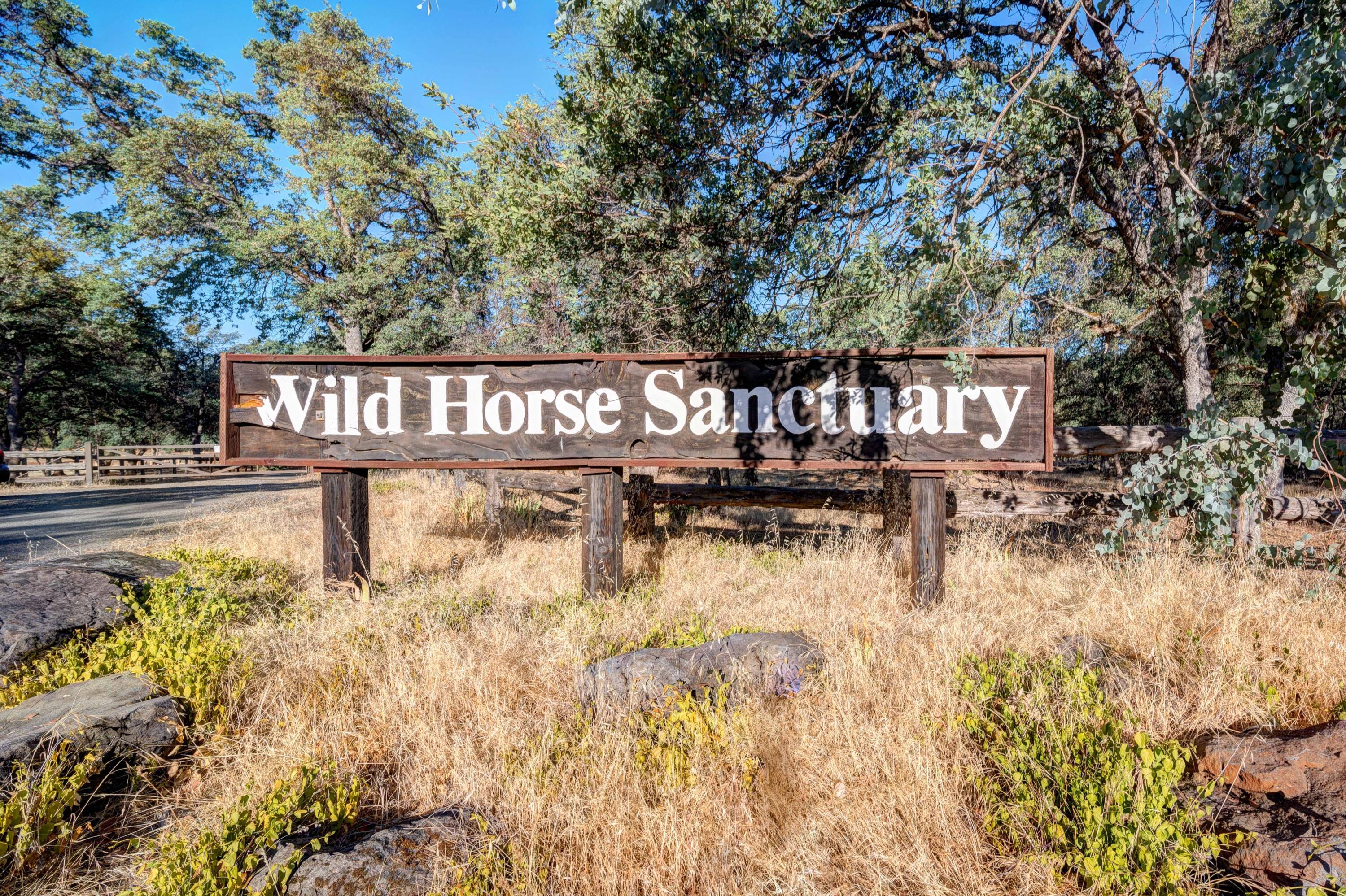 5388 Wilson Hill Road Manton, CA 96059 - Photo 29 of 32 Redding-Real-Estate-Photography-6