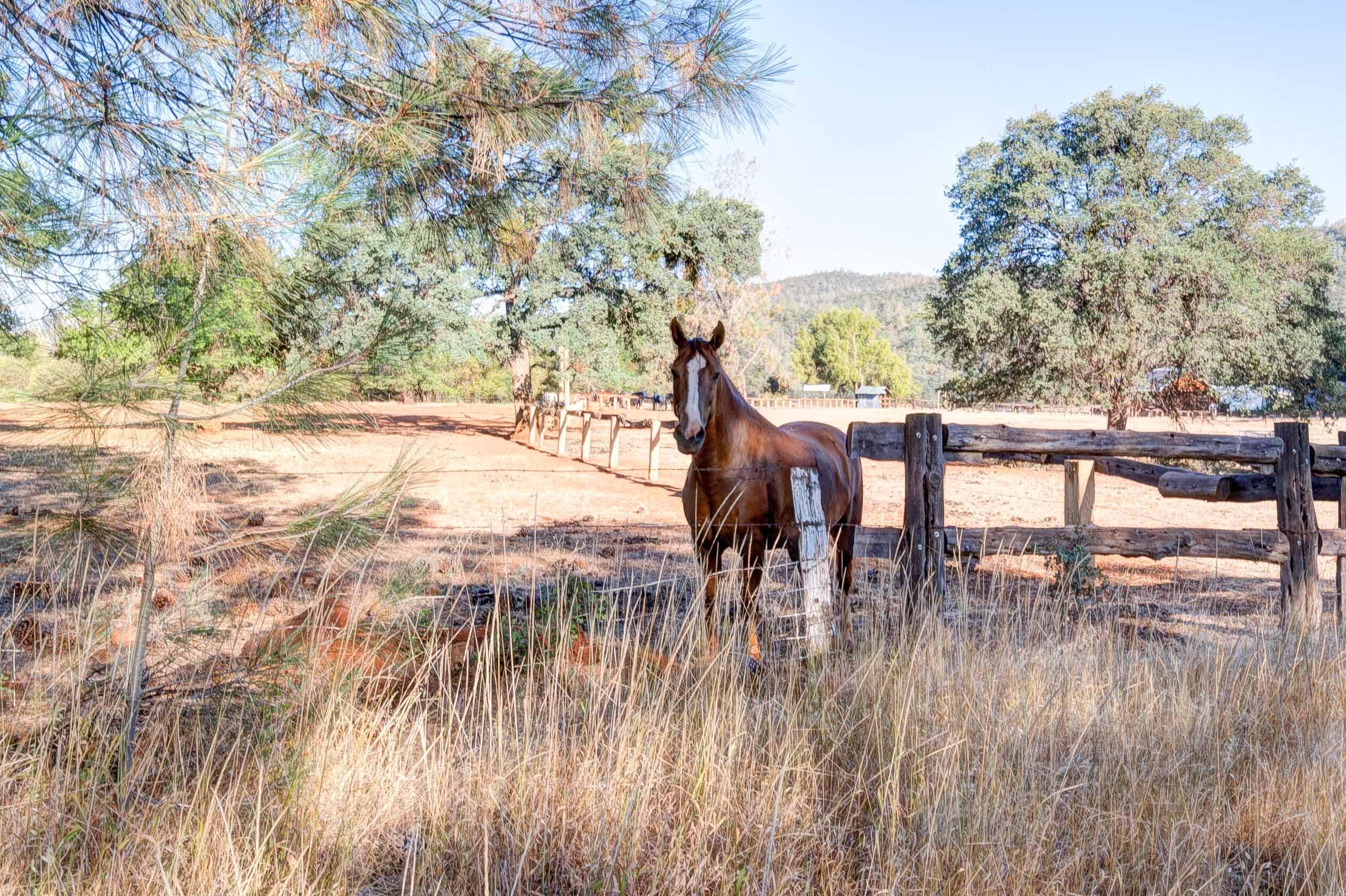 5388 Wilson Hill Road Manton, CA 96059 - Photo 30 of 32 Redding-Real-Estate-Photography-10
