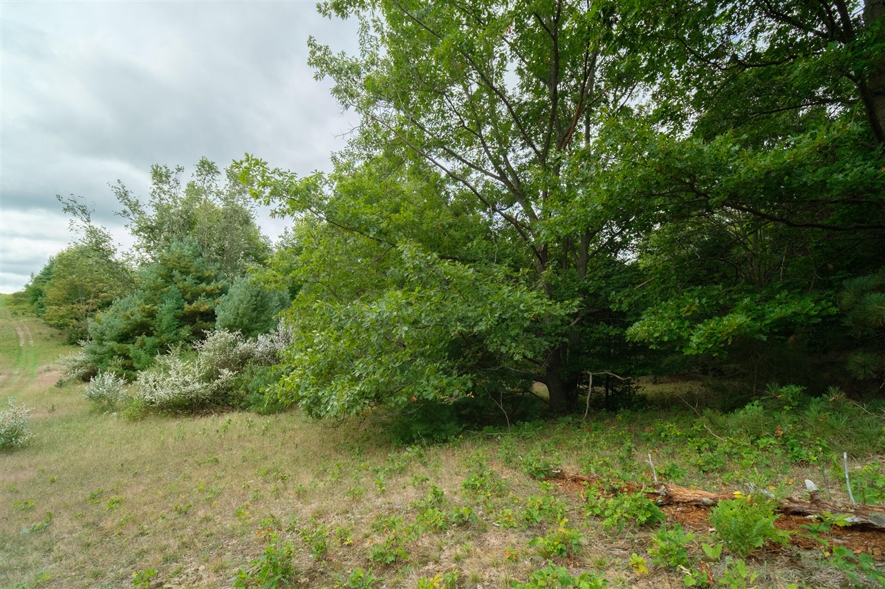 0 Erdman Road Onekama, MI 49675 - Photo 23 of 69 Gallery Image 23