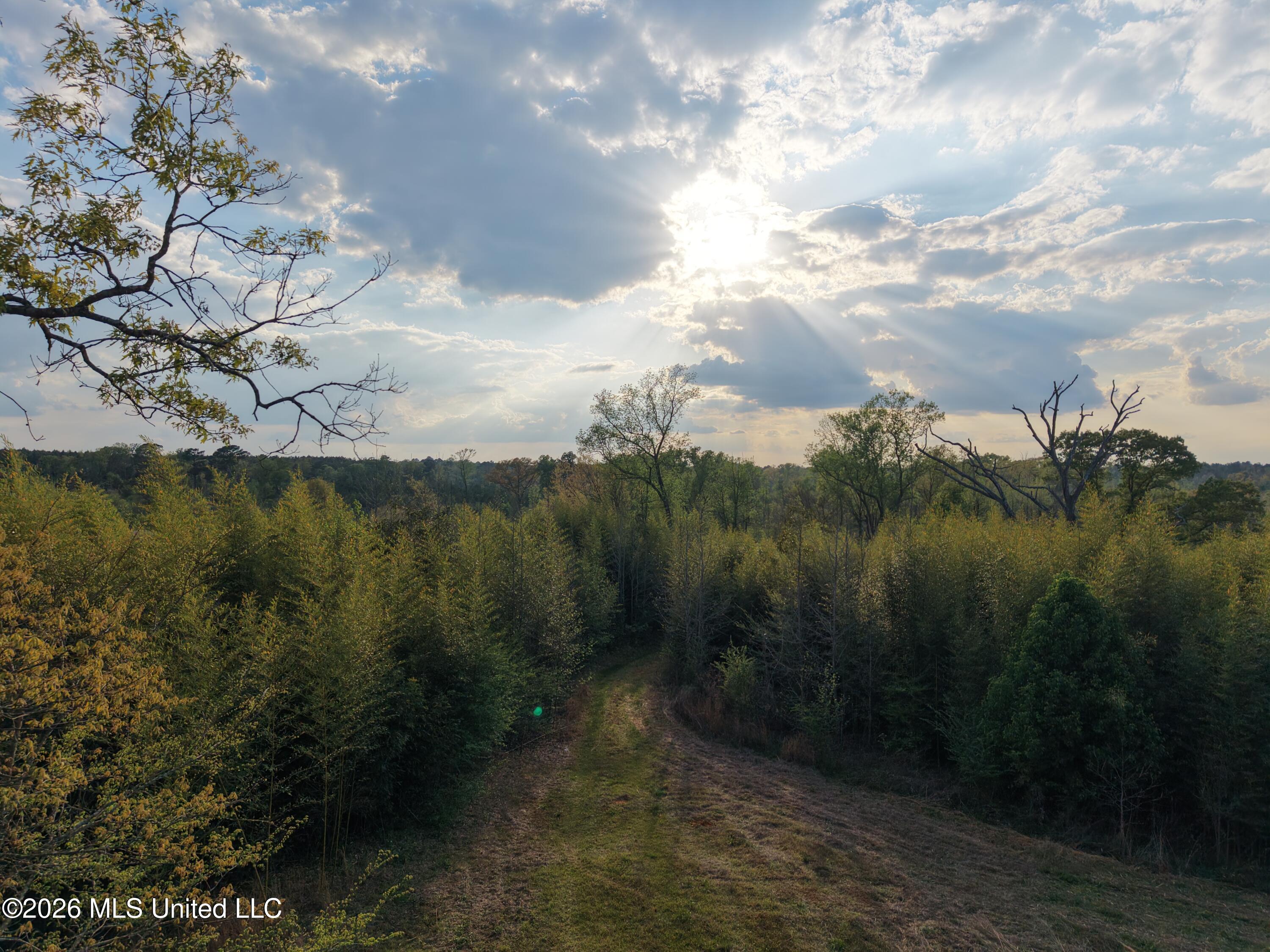 Roger Reid Road Conehatta, MS 39057 - Photo 1 of 18 drone 3 newton
