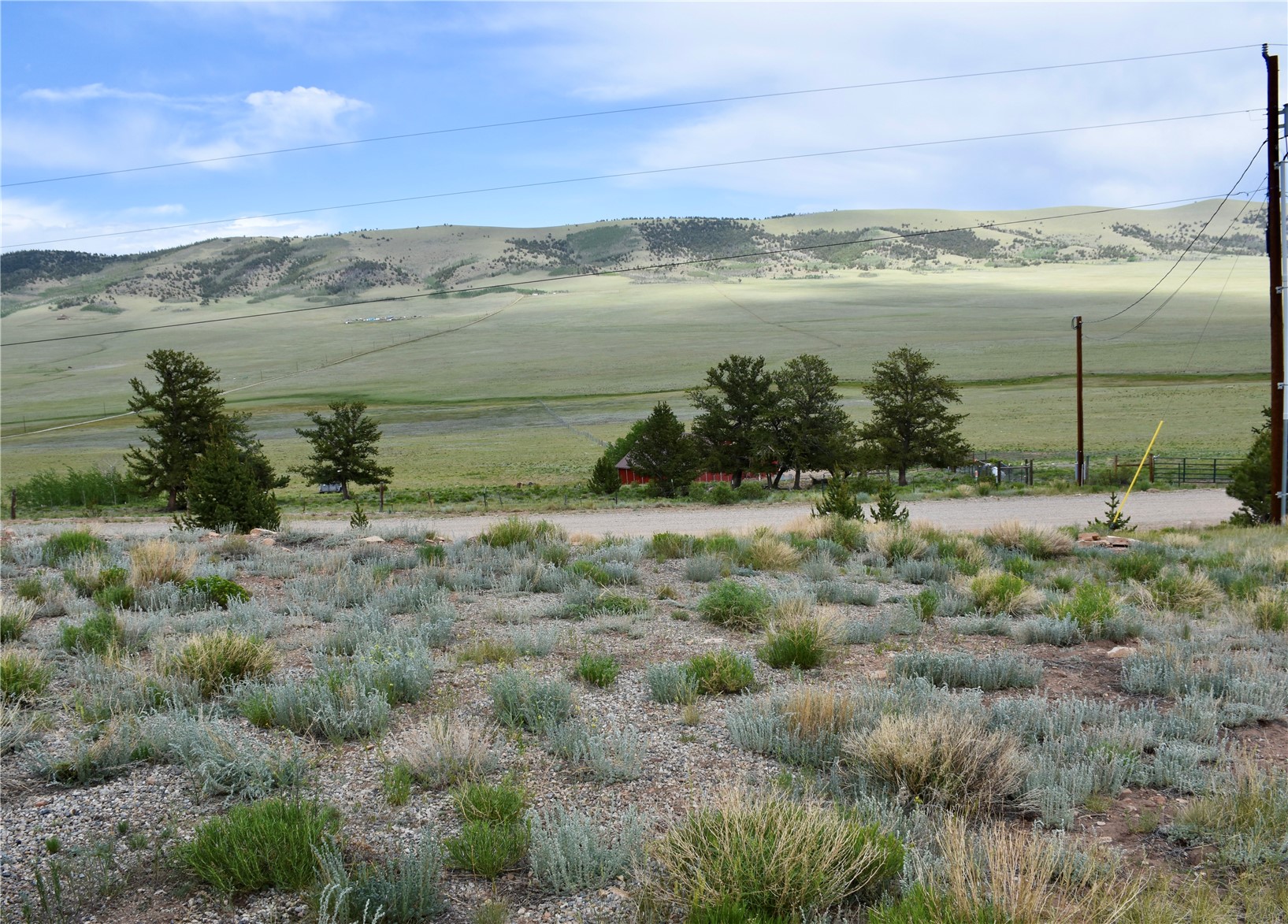3437 Redhill Road Fairplay, CO 80440 - Photo 7 of 44