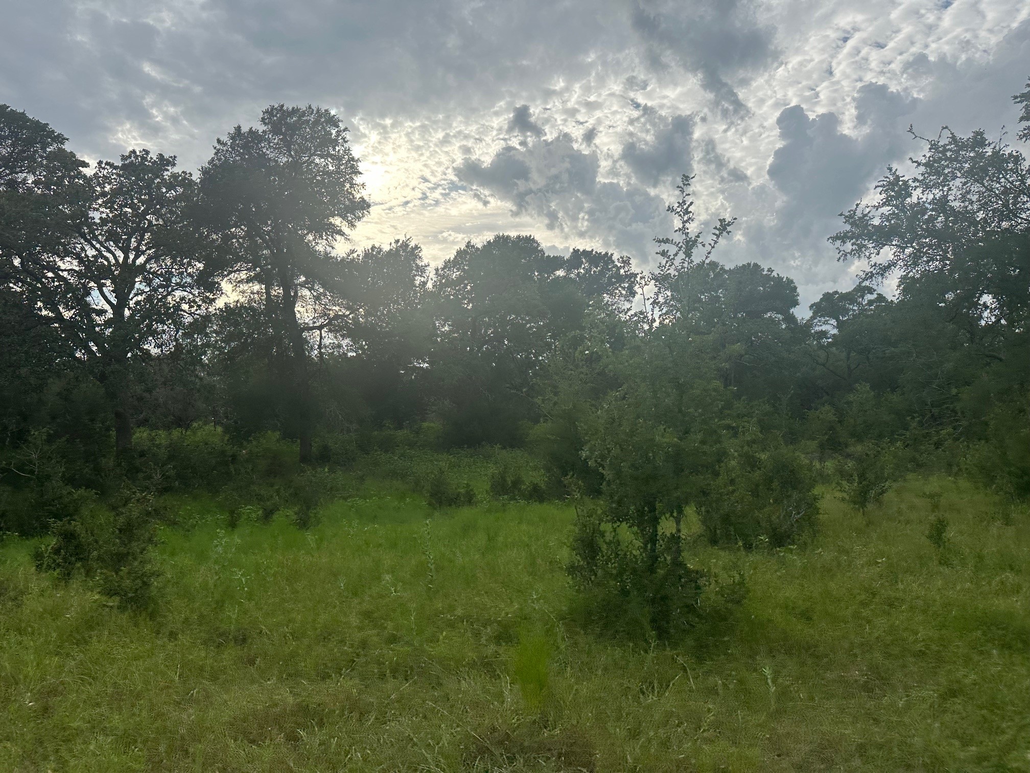 8616 Schuster Road Ledbetter, TX 78946 - Photo 5 of 25 Gallery Image 5