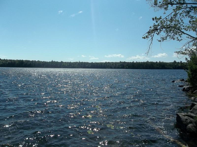 Lot #3 Birch Point Road Cooper, ME 04657 - Photo 5 of 8 100_9404